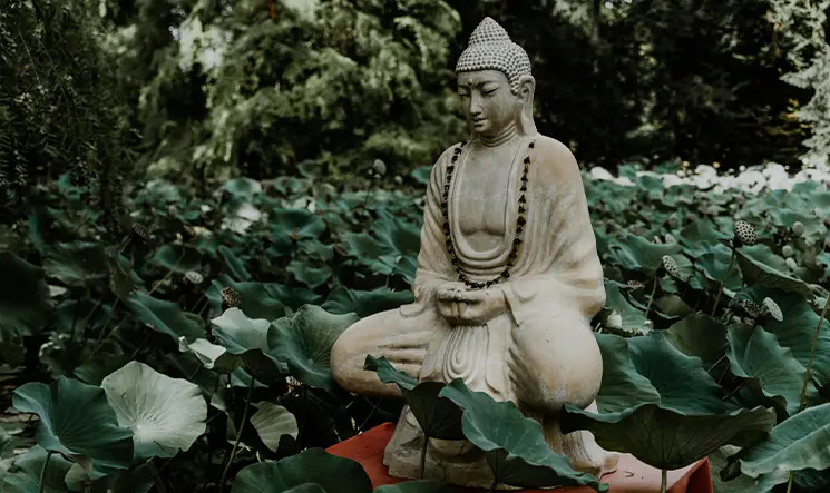 Meditação